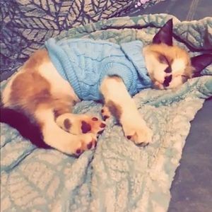 Meet your Posher, Alma